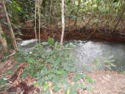 #SI0008 - Sítio para Venda em Campo Verde - MT