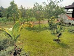 #SI0008 - Sítio para Venda em Campo Verde - MT