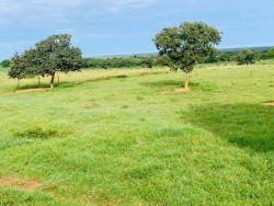 #FA0020 - Fazenda para Venda em Chapada dos Guimarães - MT