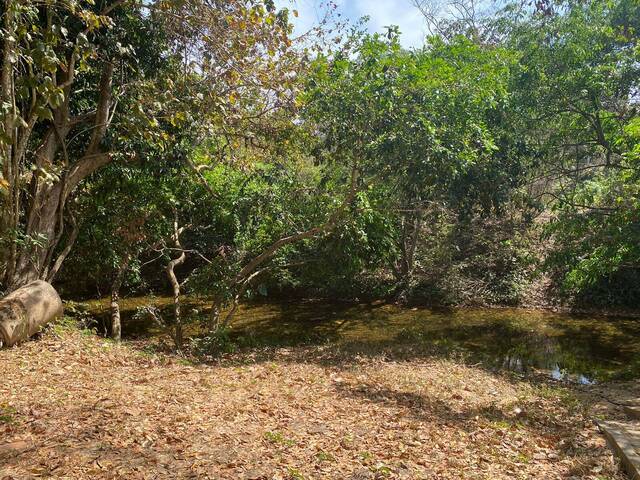 #CH0091 - Chácara para Venda em Cuiabá - MT