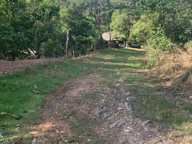 #CH0101 - Chácara para Venda em Cuiabá - MT - 3