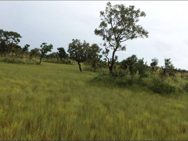 #FA0102 - Fazenda para Venda em Novo Santo Antônio - MT