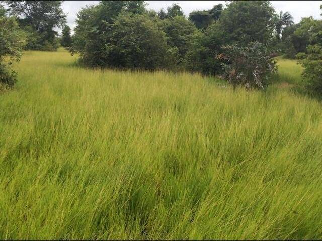 #FA0102 - Fazenda para Venda em Novo Santo Antônio - MT