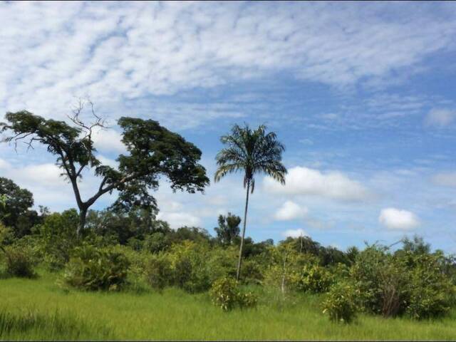 #FA0102 - Fazenda para Venda em Novo Santo Antônio - MT