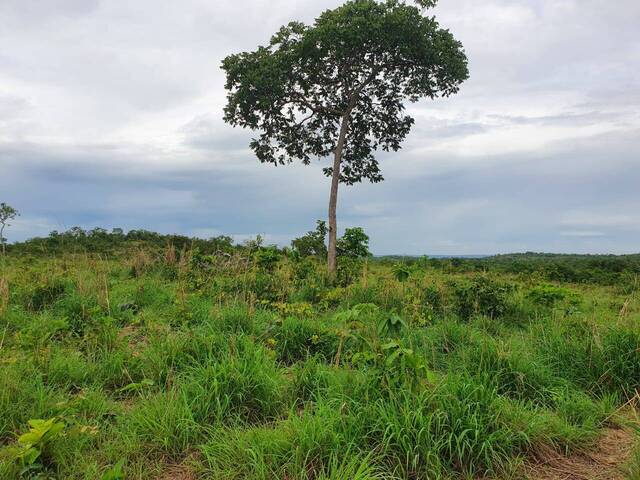 #FA0109 - Fazenda para Venda em Rosário Oeste - MT