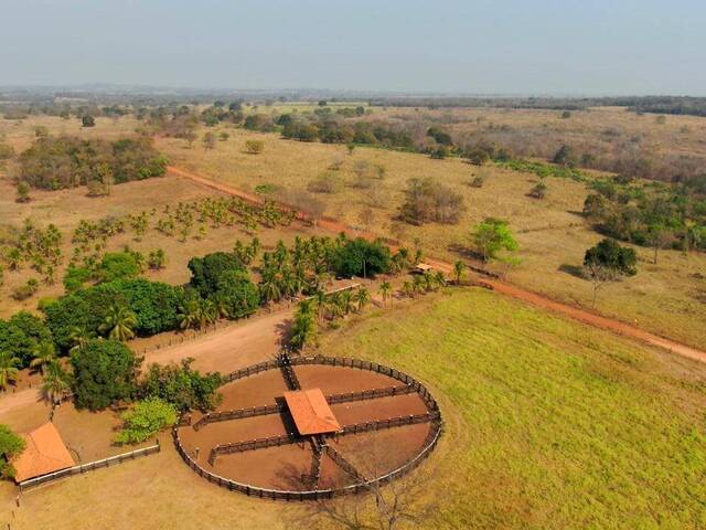 #FA0113 - Fazenda para Venda em Acorizal - MT