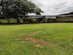 #FA0022 - Fazenda para Venda em Diamantino - MT