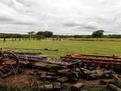 #FA0022 - Fazenda para Venda em Diamantino - MT