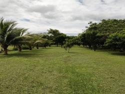 #FA0022 - Fazenda para Venda em Diamantino - MT