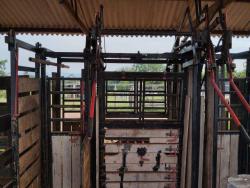 #FA0026 - Fazenda para Venda em Paranatinga - MT