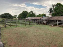 #FA0027 - Fazenda para Venda em Alto Garças - MT