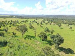 #FA0028 - Fazenda para Venda em Paranatinga - MT