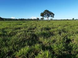 #FA0029 - Fazenda para Venda em Nobres - MT