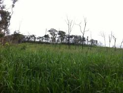 #FA0031 - Fazenda para Venda em Reserva do Cabaçal - MT
