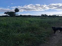 #CH0052 - Chácara para Venda em Santo Antônio do Leverger - MT