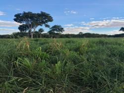 #CH0052 - Chácara para Venda em Santo Antônio do Leverger - MT