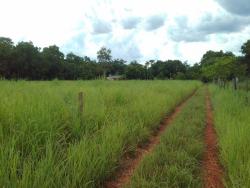 #CH0053 - Chácara para Venda em Santo Antônio do Leverger - MT