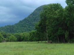 #CH0053 - Chácara para Venda em Santo Antônio do Leverger - MT