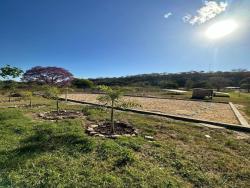 #CH0069 - Chácara para Venda em Barão de Melgaço - MT