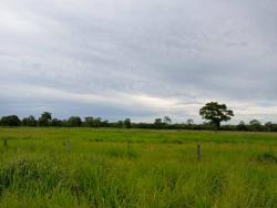 #FA0089 - Fazenda para Venda em Rosário Oeste - MT