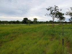#FA0089 - Fazenda para Venda em Rosário Oeste - MT