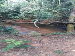 #SI0084 - Sítio para Venda em Chapada dos Guimarães - MT