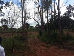 #SI0084 - Sítio para Venda em Chapada dos Guimarães - MT