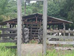 #FA0004 - Fazenda para Venda em Barão de Melgaço - MT